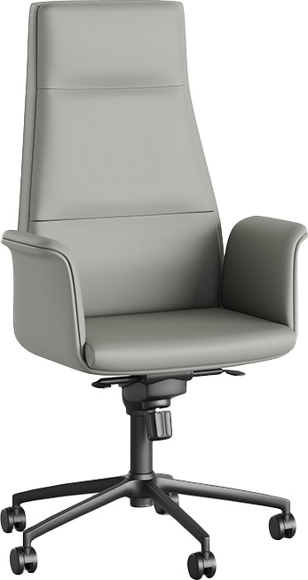 Cover Design Executive Chair