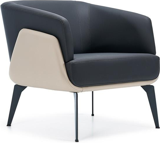 Janerio Leather Upholstered Office Sofa