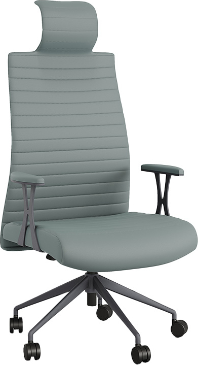 Romane Başlıklı Yönetici Koltuğu