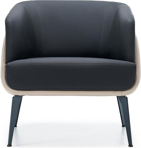 Janerio Leather Upholstered Office Sofa