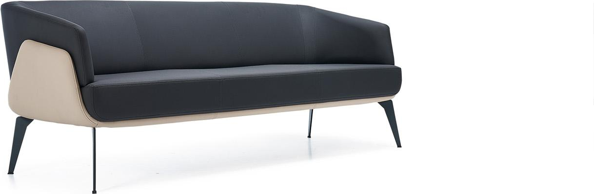 Janerio Leather Upholstered Office Sofa