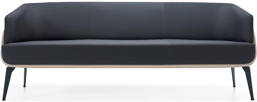 Janerio Leather Upholstered Office Sofa