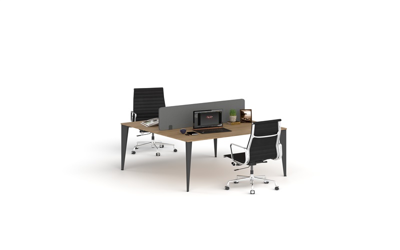 EXEN WORK STATİON 2P