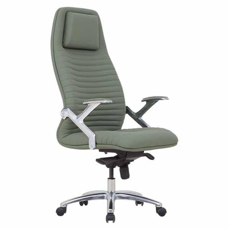 Trono Yönetici ve Çalışma Koltuğu