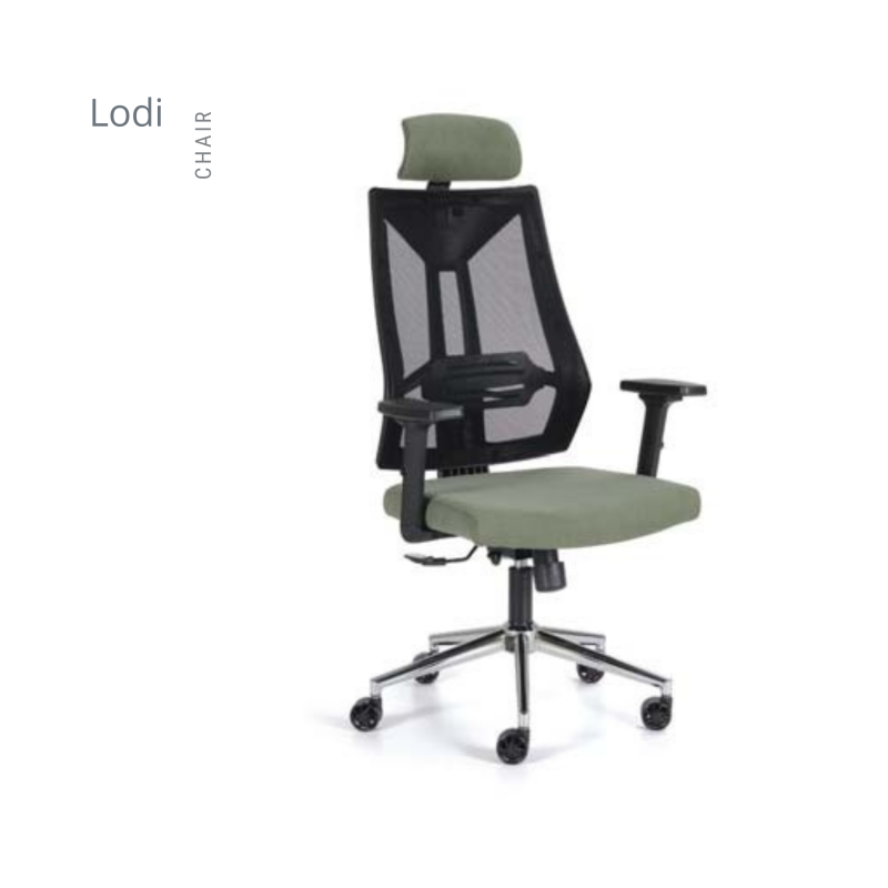 LODİ FİLELİ MAKAM KOLTUK