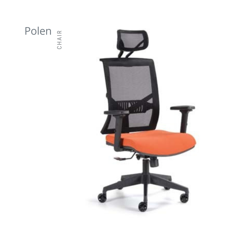 POLEN FİLELİ MAKAM KOLTUK