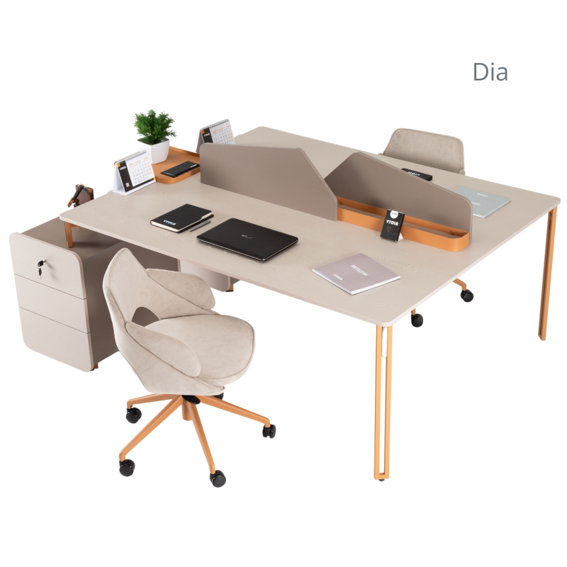 DİA WORKSTATİON