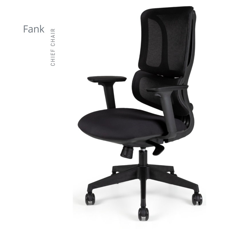 FANK FİLELİ ŞEF KOLTUK