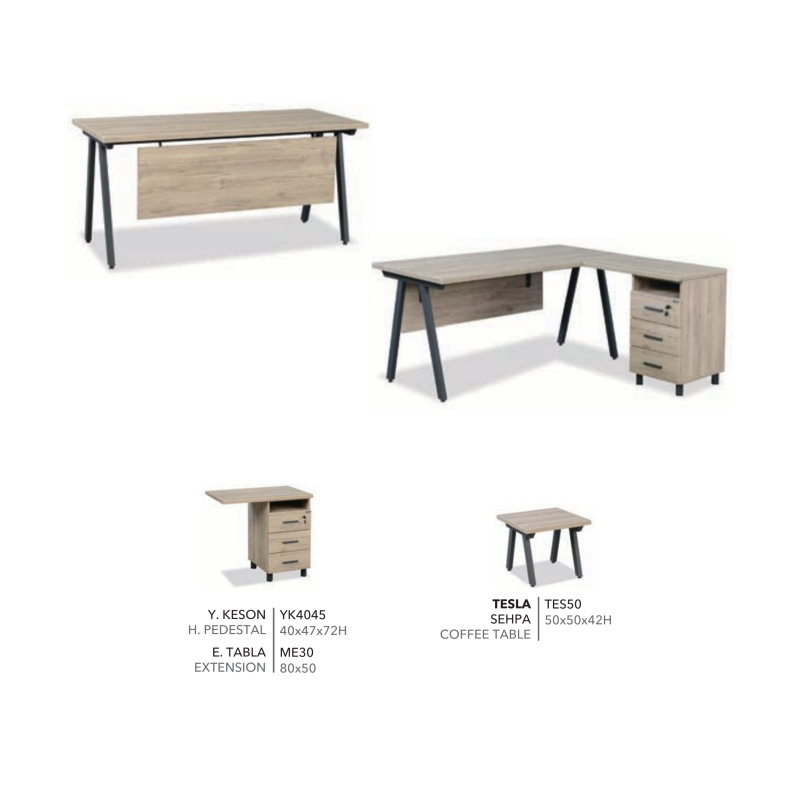 TESLA WORK TABLE SET