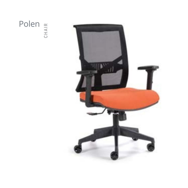 POLEN FİLELİ MAKAM KOLTUK