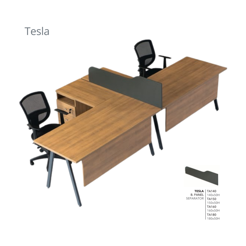 TESLA WORKSTATİON