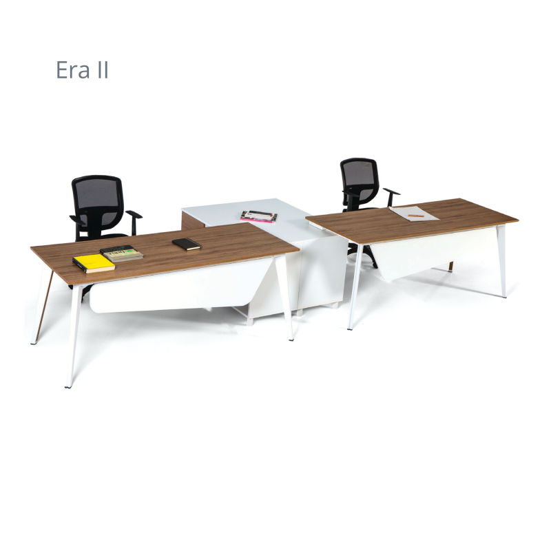 ERA WORKSTATİON