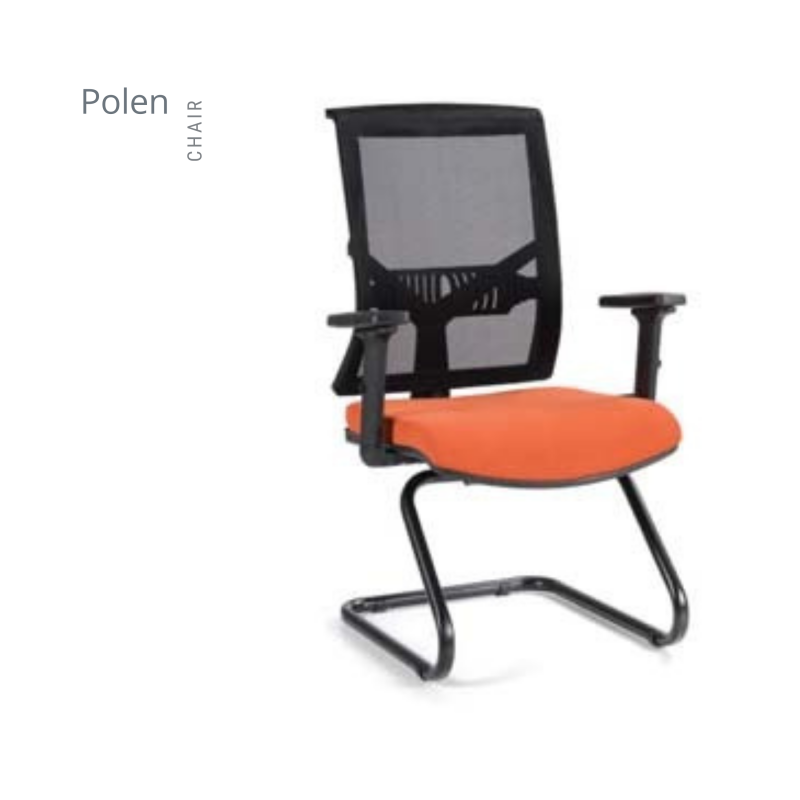 POLEN FİLELİ MAKAM KOLTUK