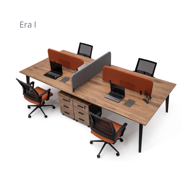 ERA WORKSTATİON