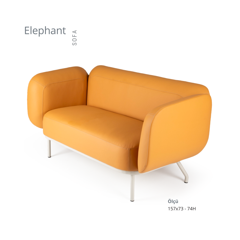 ELEPHANT KOLTUK TAKIMI