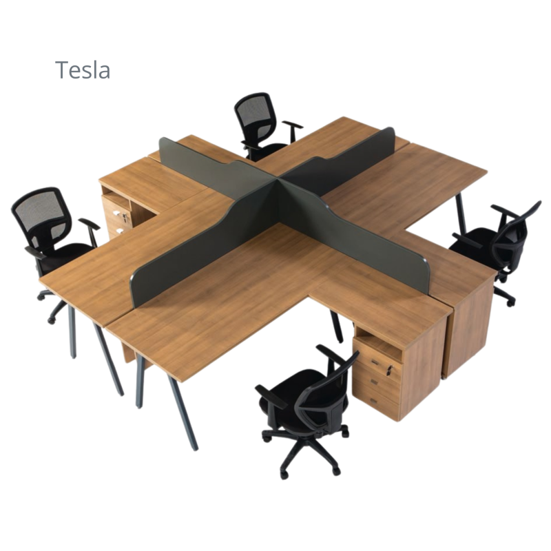 TESLA WORKSTATİON