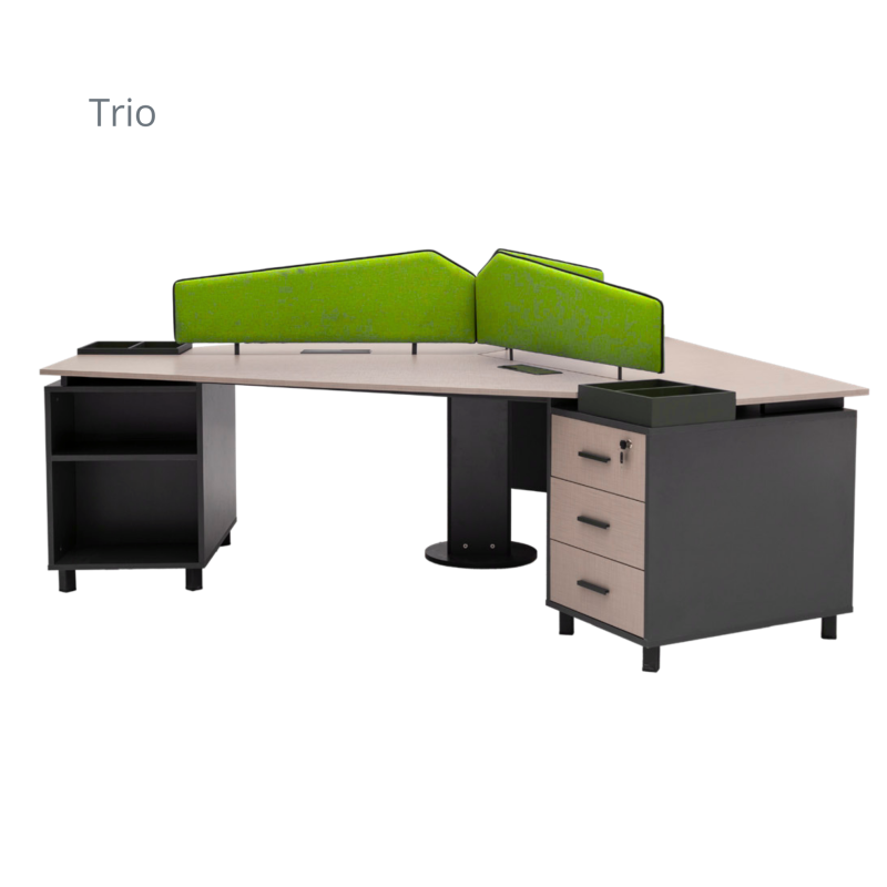 TRİO WORKSTATİON