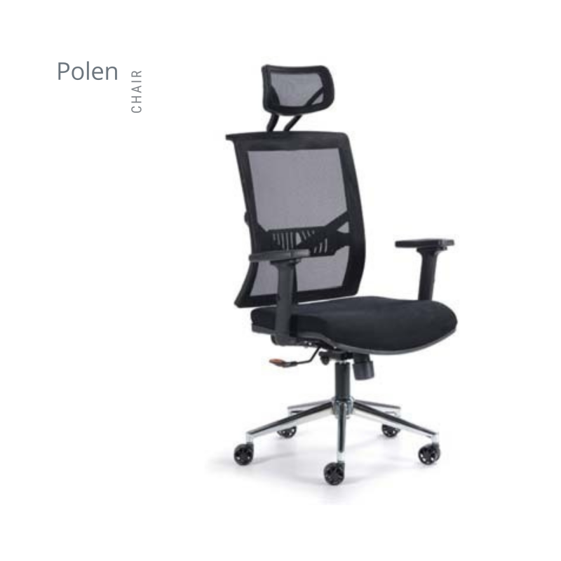 POLEN FİLELİ MAKAM KOLTUK