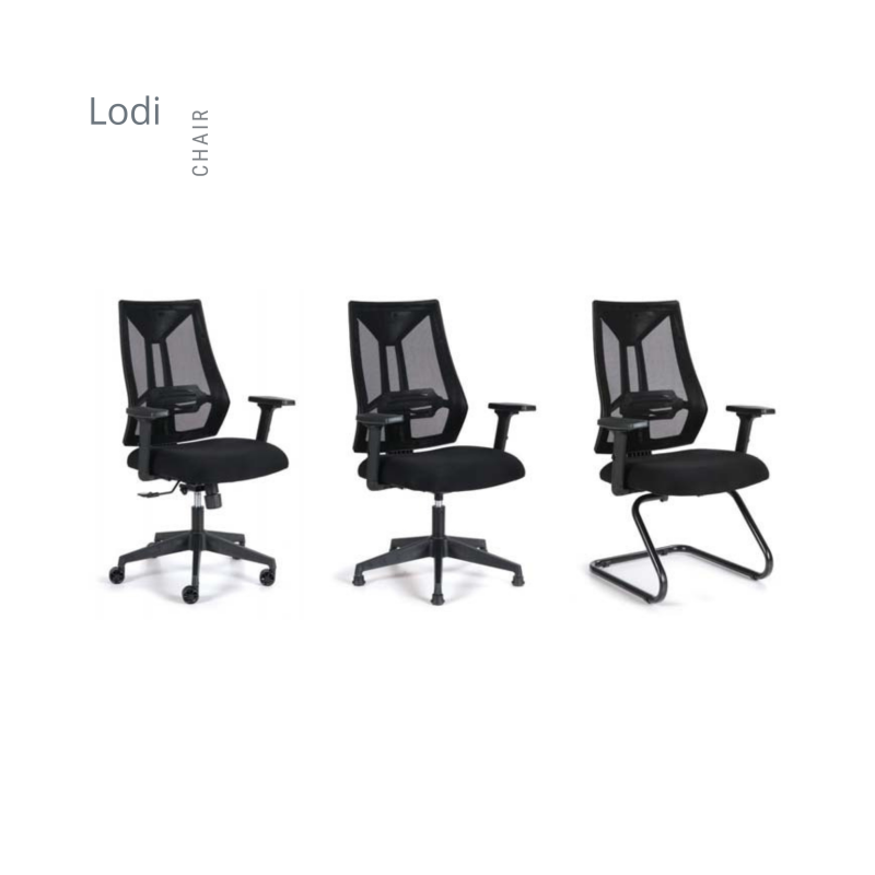 LODİ FİLELİ MAKAM KOLTUK