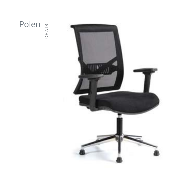 POLEN FİLELİ MAKAM KOLTUK