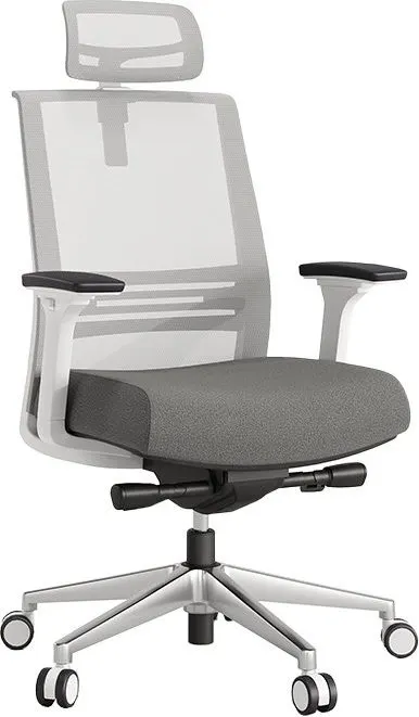 Axento Mesh Ergonomic Executive Chair