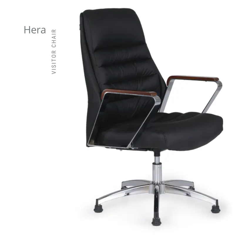 HERA MİSAFİR KOLTUK