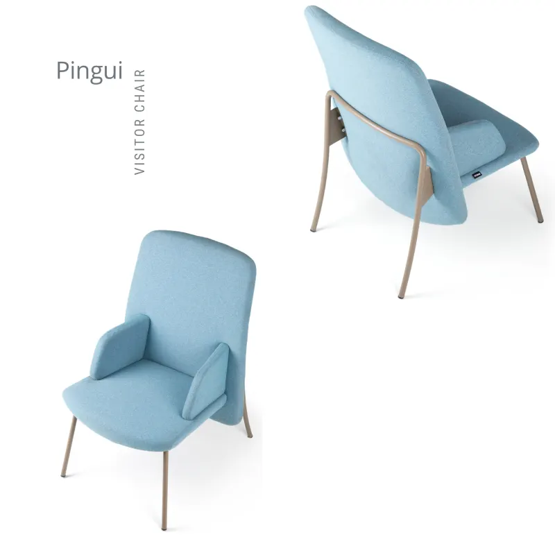 PİNGUİ MİSAFİR KOLTUK