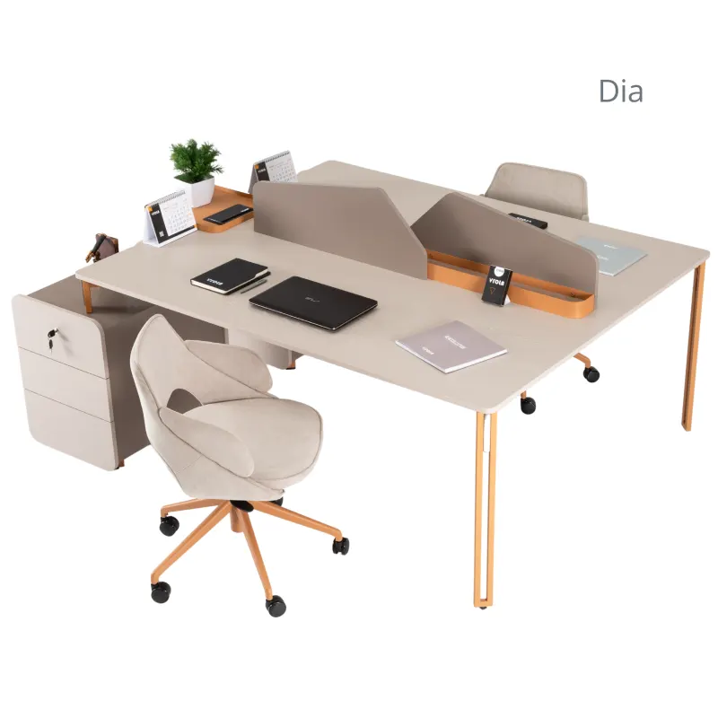 DİA WORKSTATİON